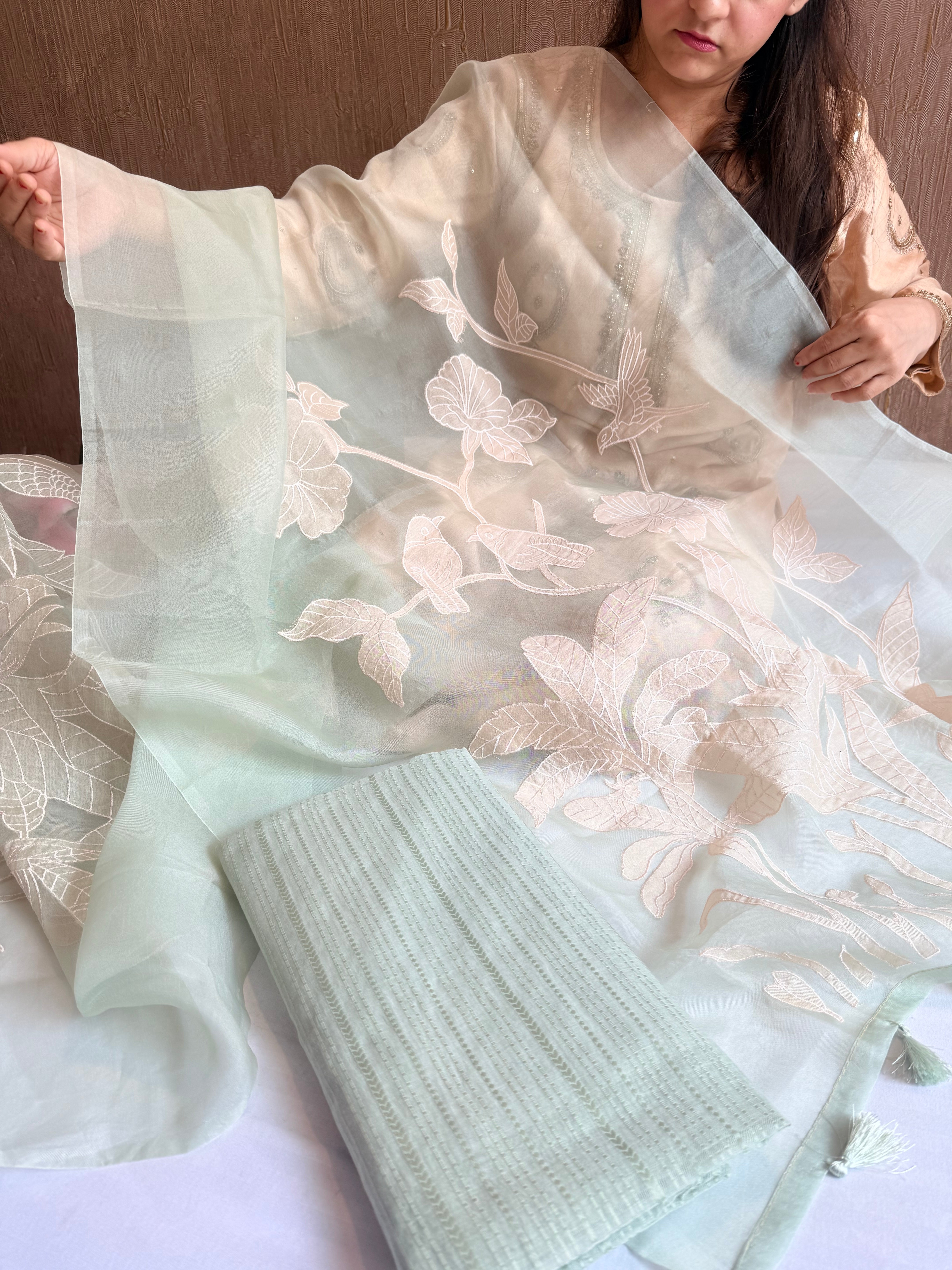 Appliqué work mul cotton striped kurta paired with kora silk embroidered duppata