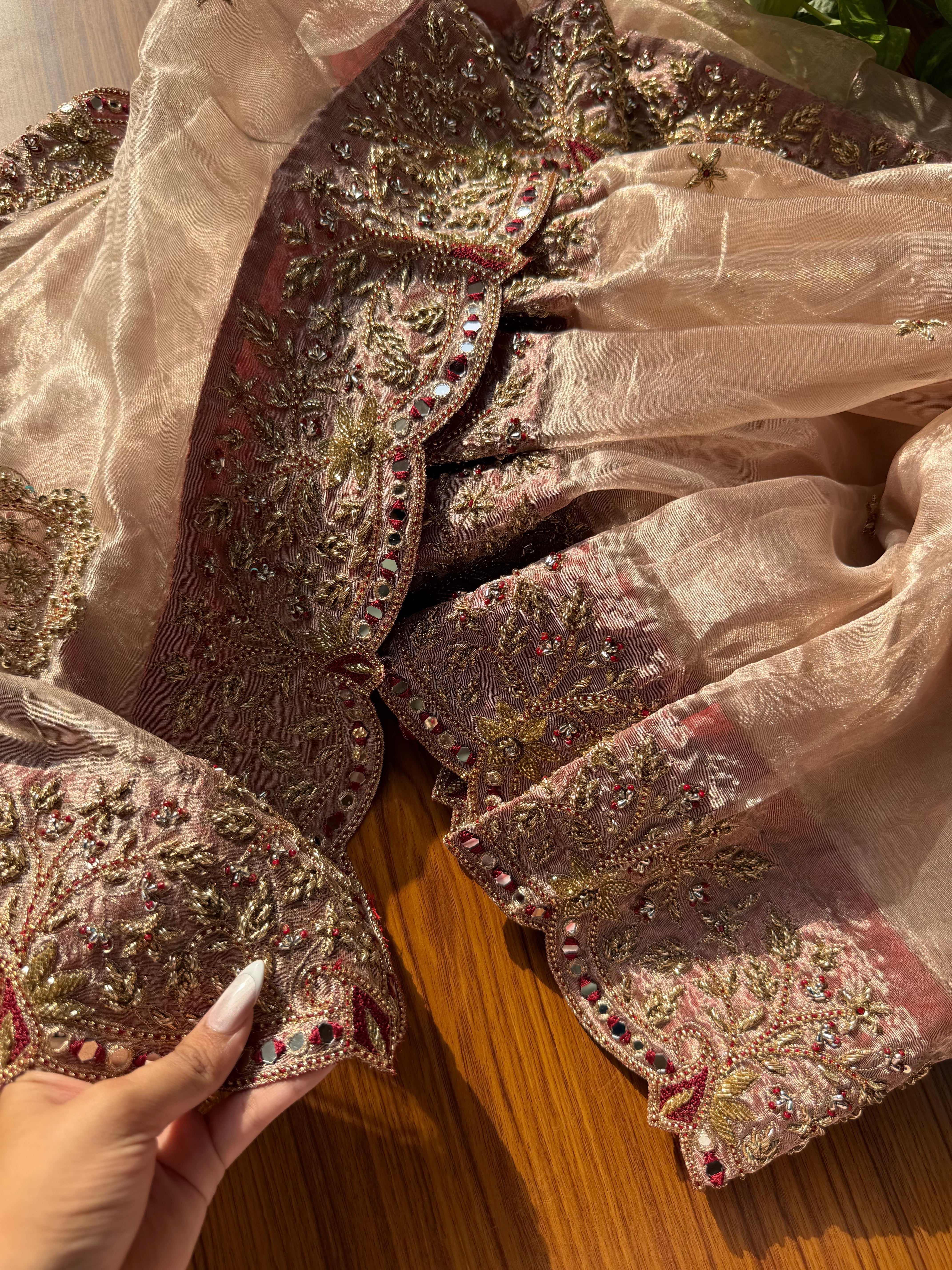 Pakezah edit - Ivory and red diamond tissue silk hand embroidered saree