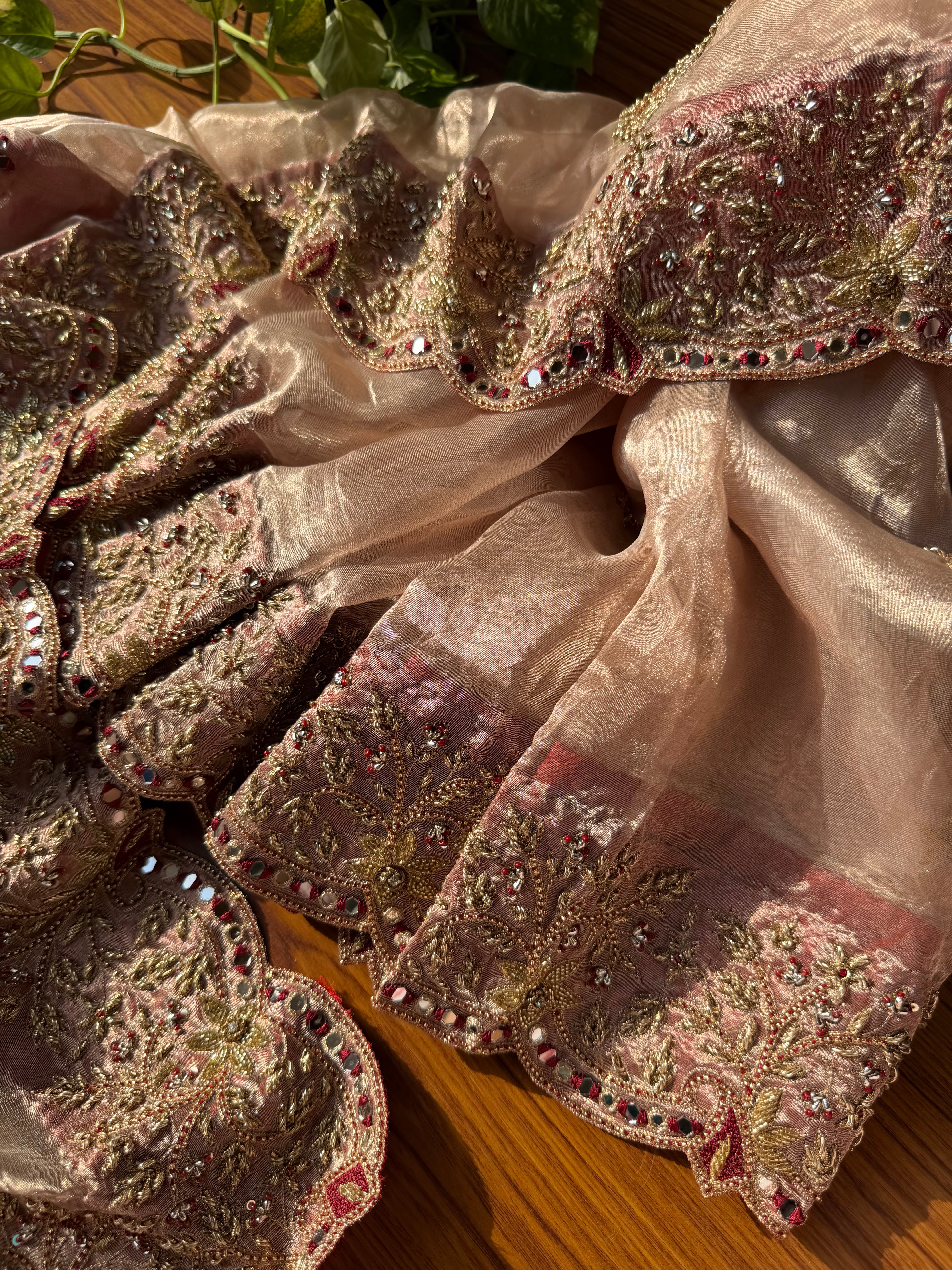 Pakezah edit - Ivory and red diamond tissue silk hand embroidered saree