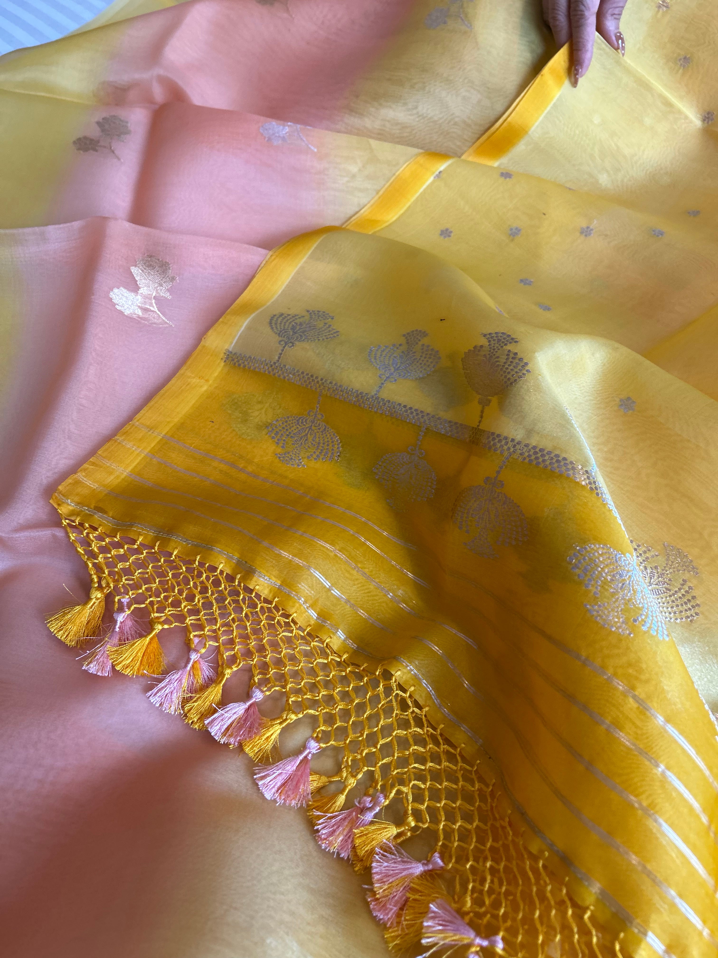 Rainbow dye banarasi kora silk kadhwa buti suit sets