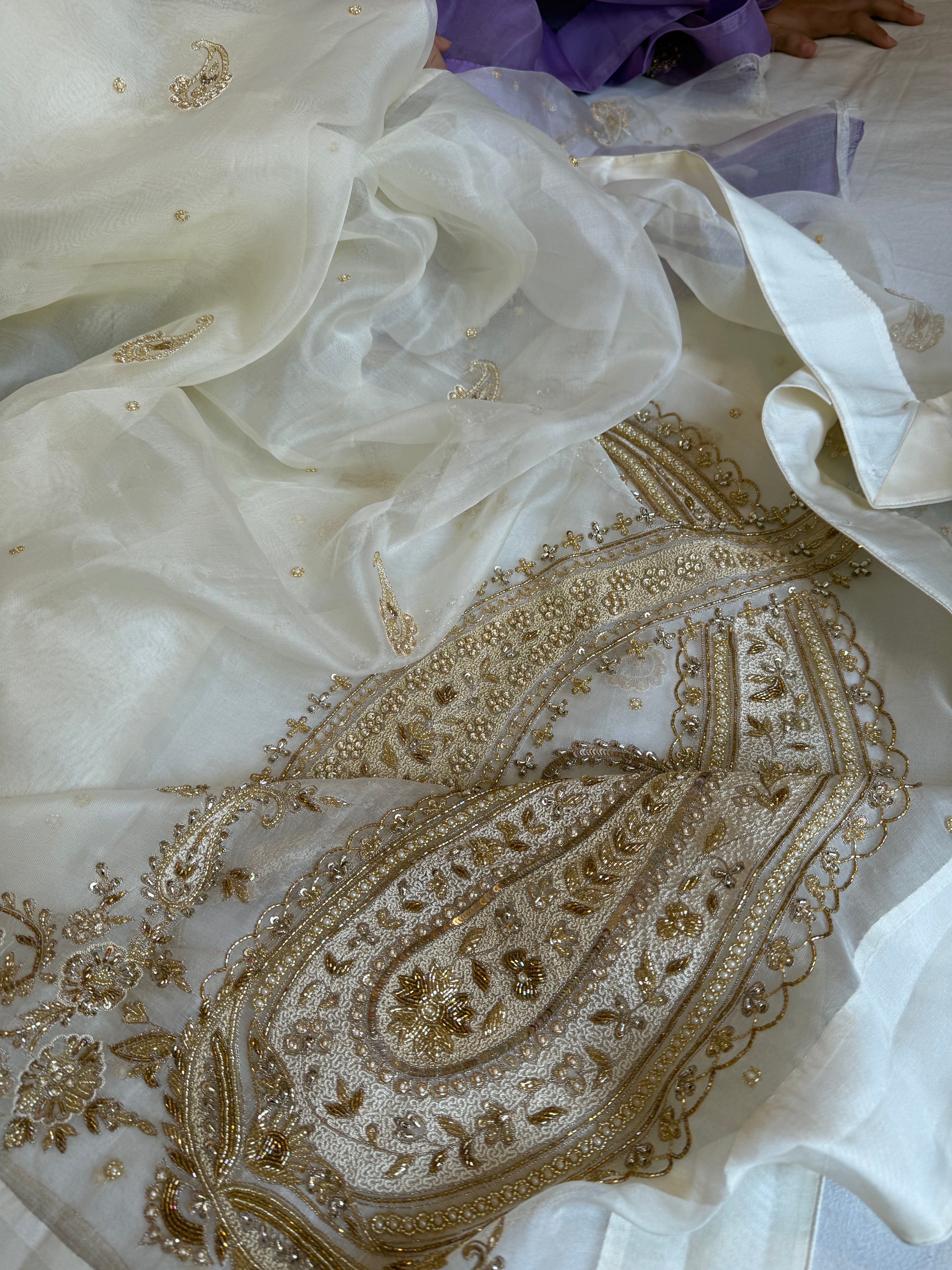Champagne ivory organza silk satin border hand embroidered kadhwa saree