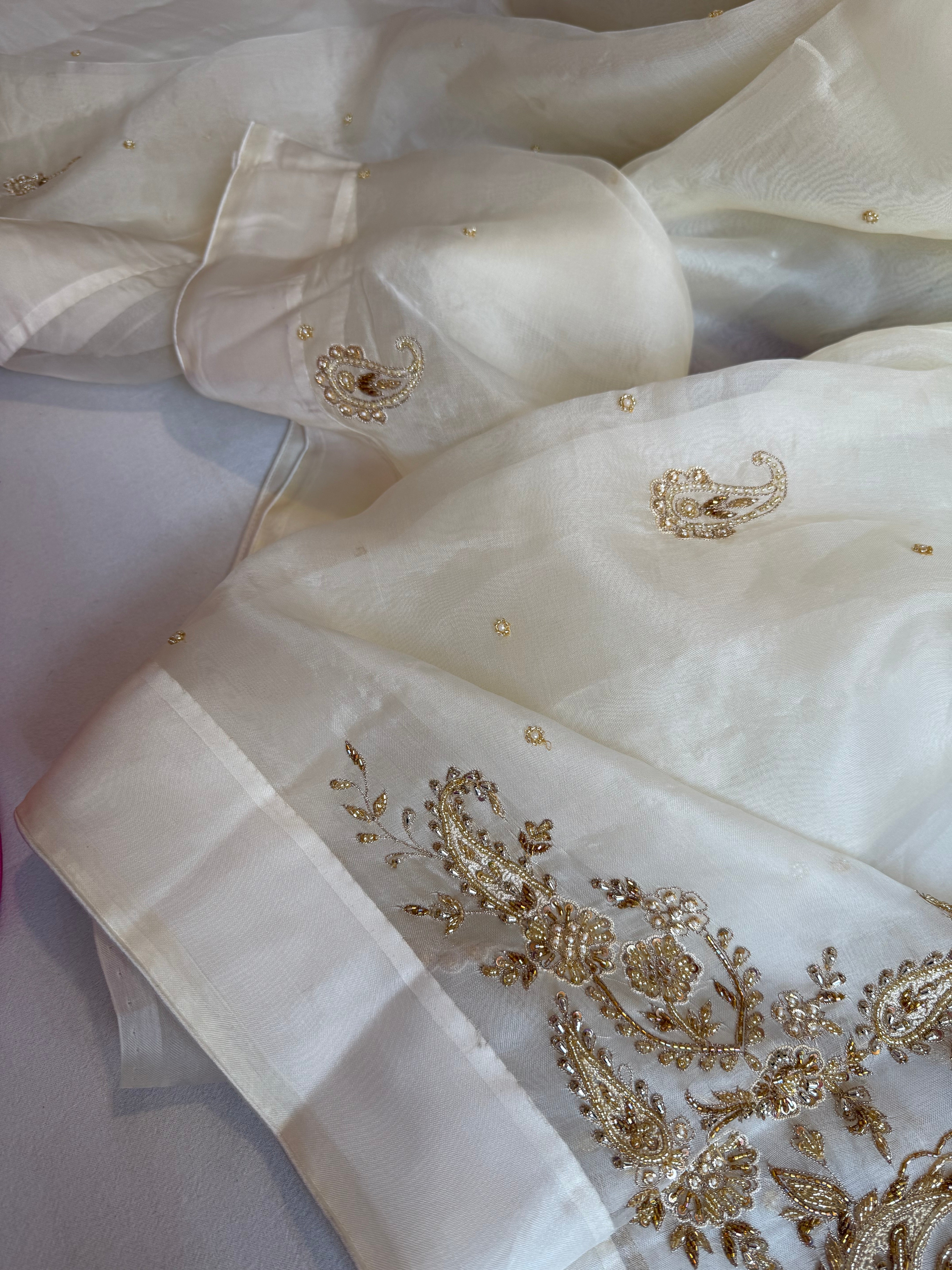 Champagne ivory organza silk satin border hand embroidered kadhwa saree