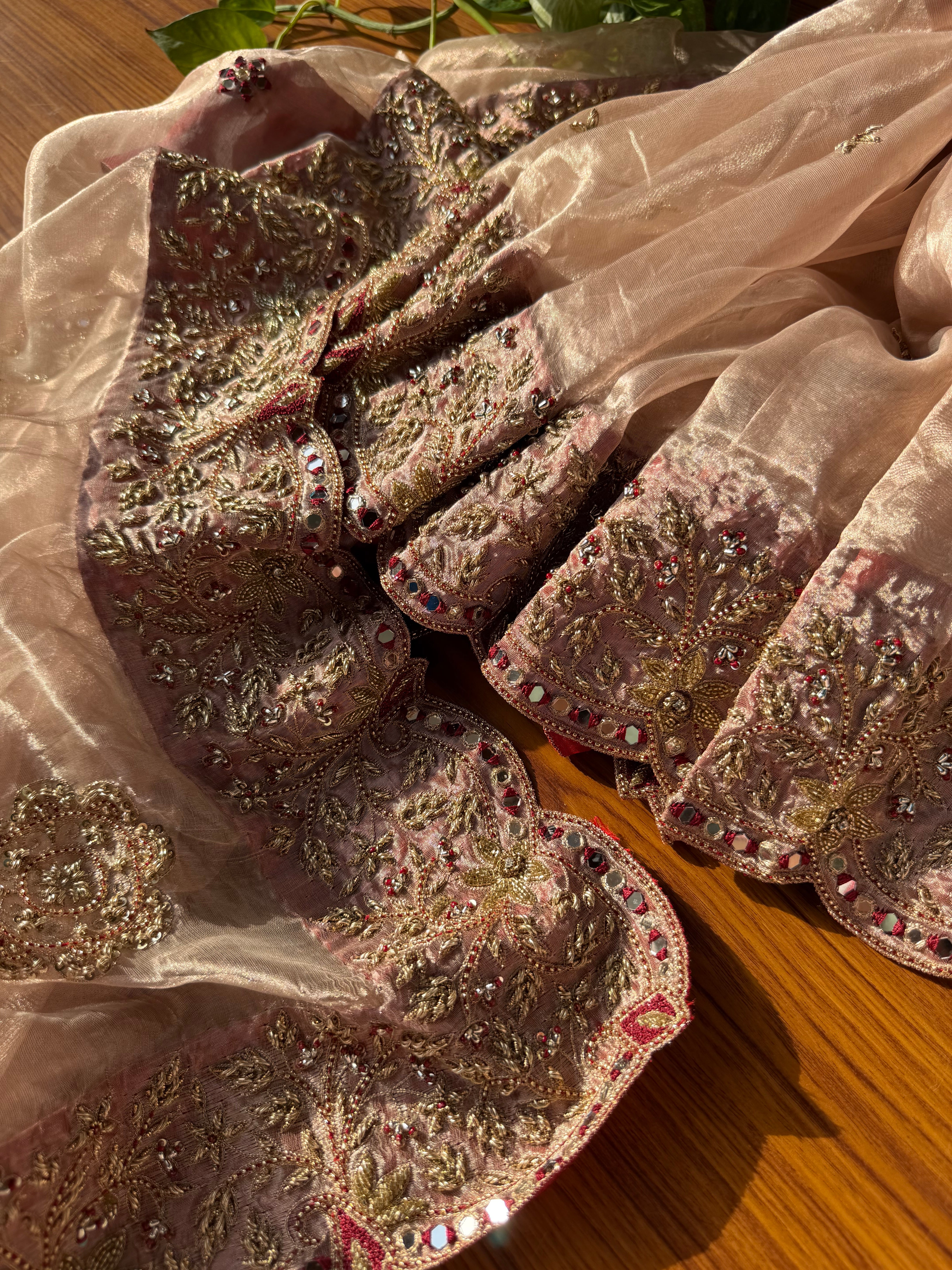 Pakezah edit - Ivory and red diamond tissue silk hand embroidered saree
