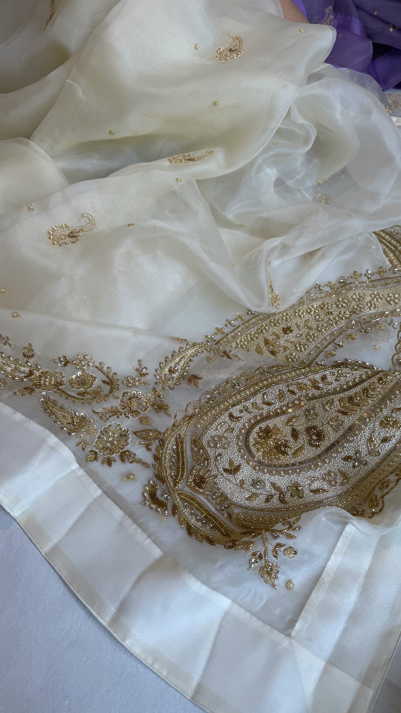 Champagne ivory organza silk satin border hand embroidered kadhwa saree