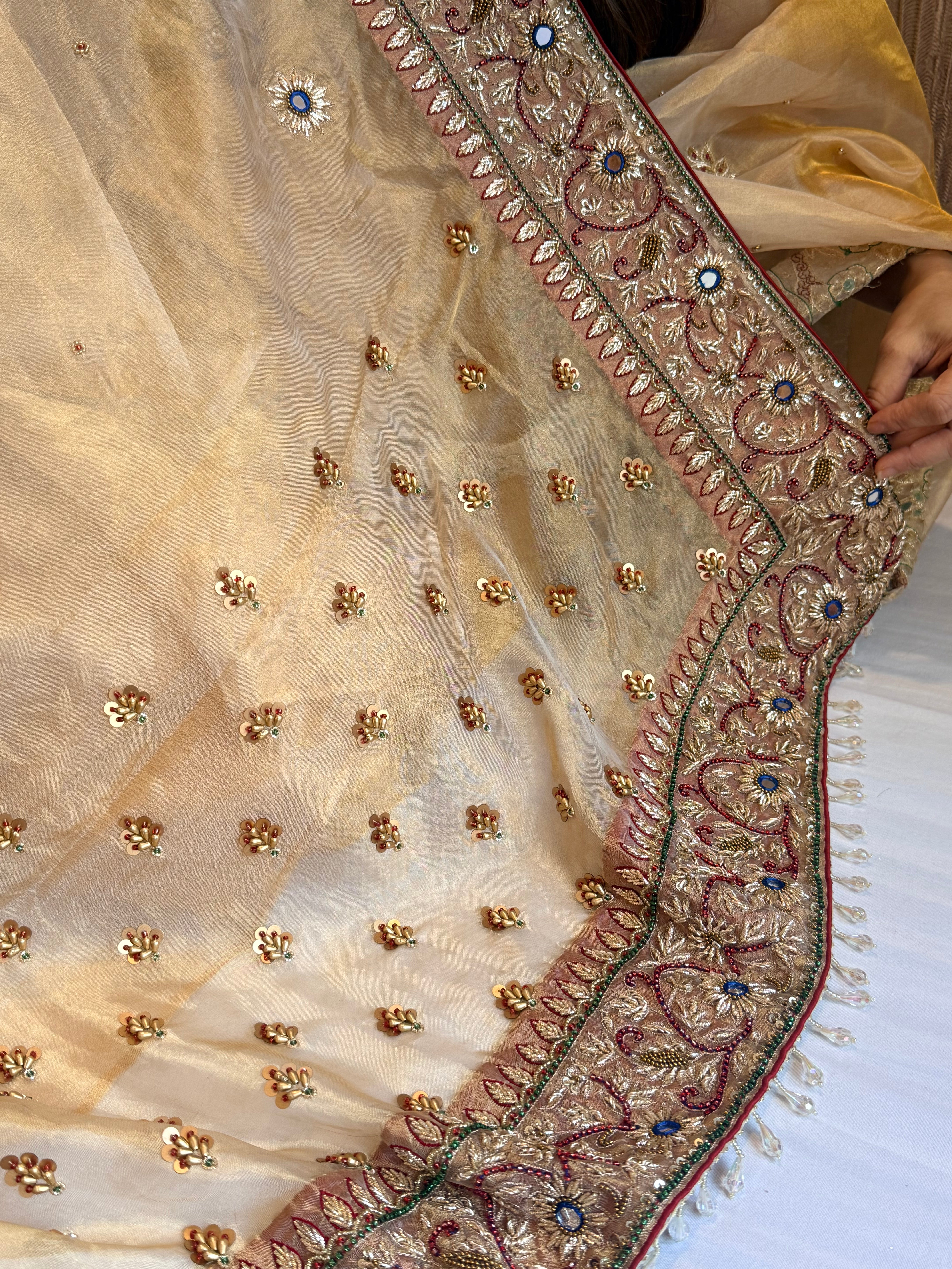 Zardozi & Jadauwork border tissue silk hand embroidered kadhwa butter gold saree
