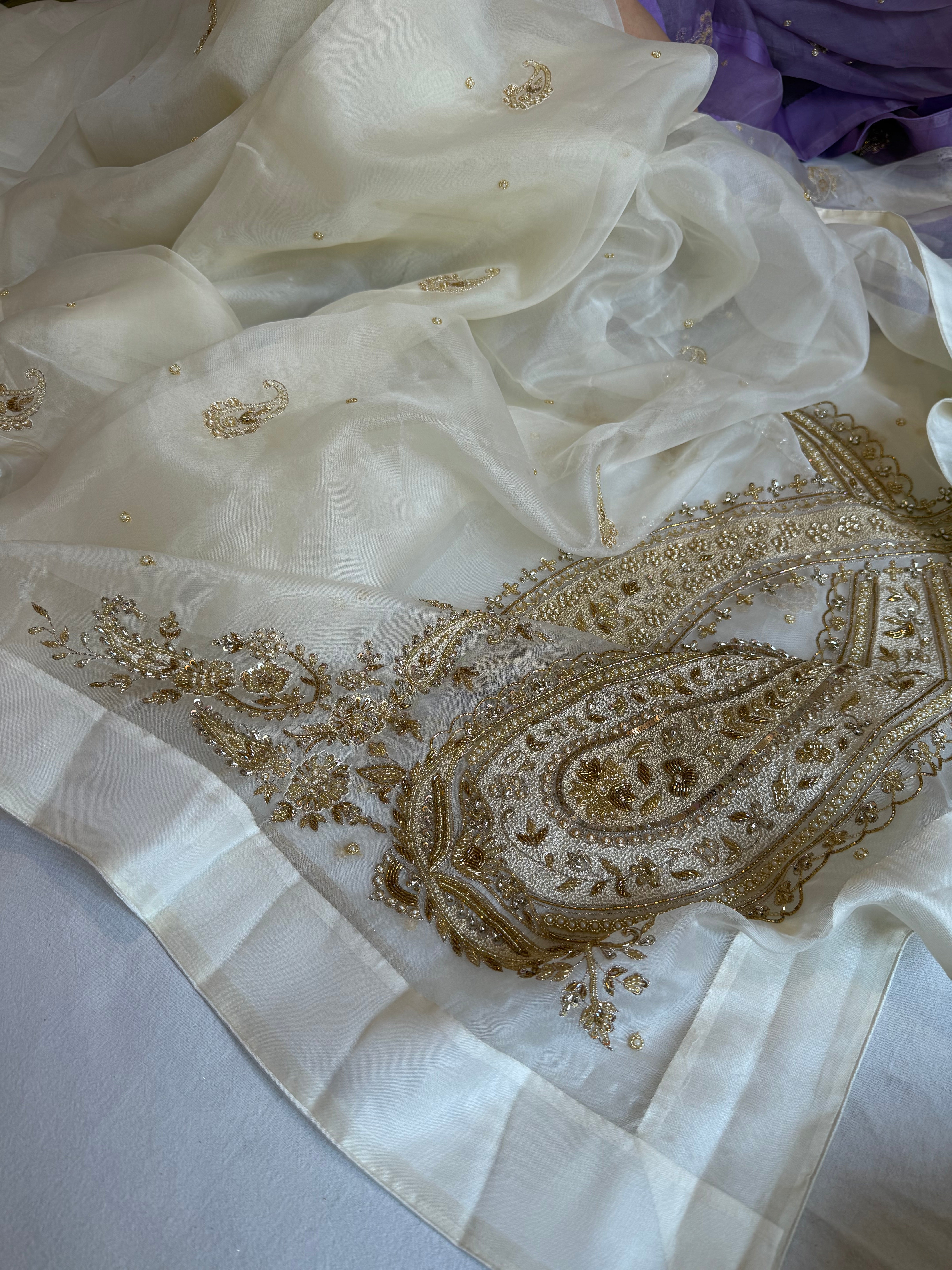 Champagne ivory organza silk satin border hand embroidered kadhwa saree