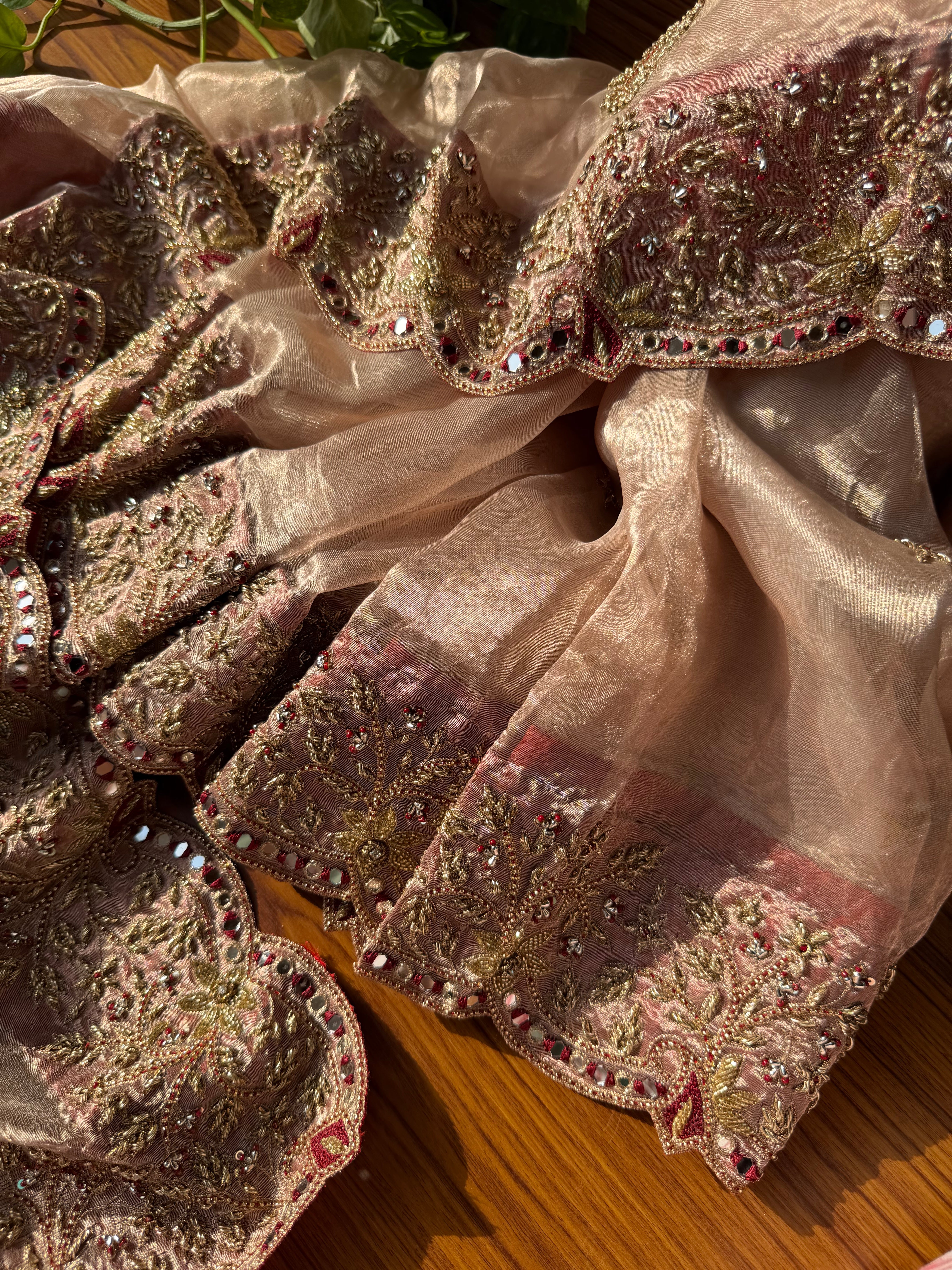 Pakezah edit - Ivory and red diamond tissue silk hand embroidered saree