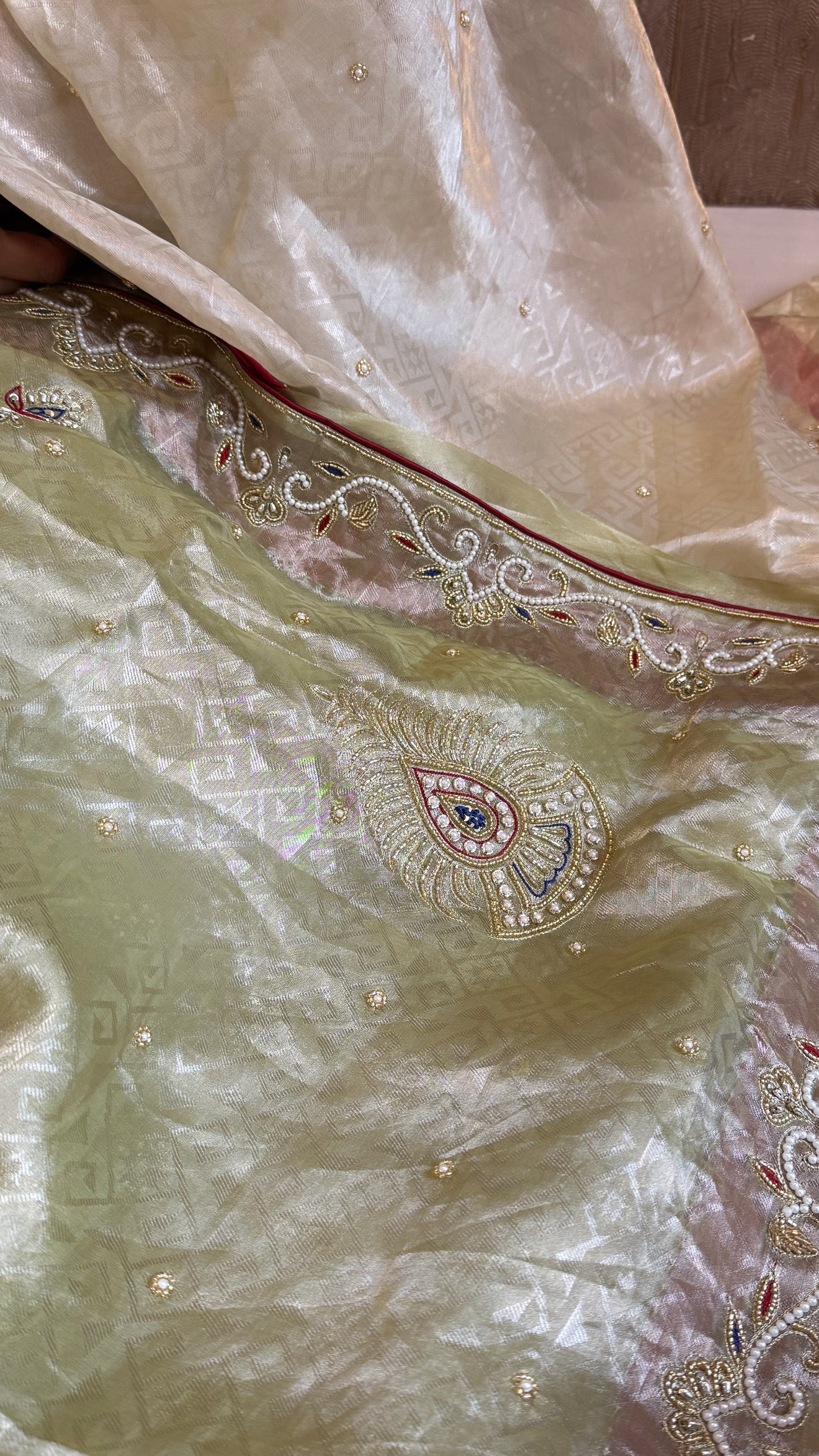 Pakeezah edit 2.0 - Mint green zardozi hand embroidered tissue silk kadhwa saree