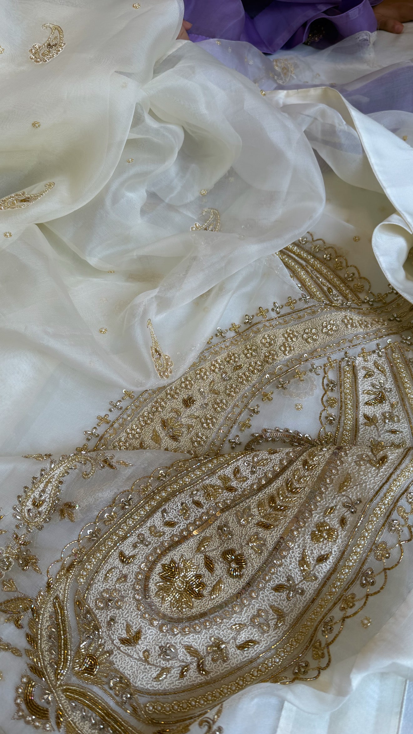Champagne ivory organza silk satin border hand embroidered kadhwa saree