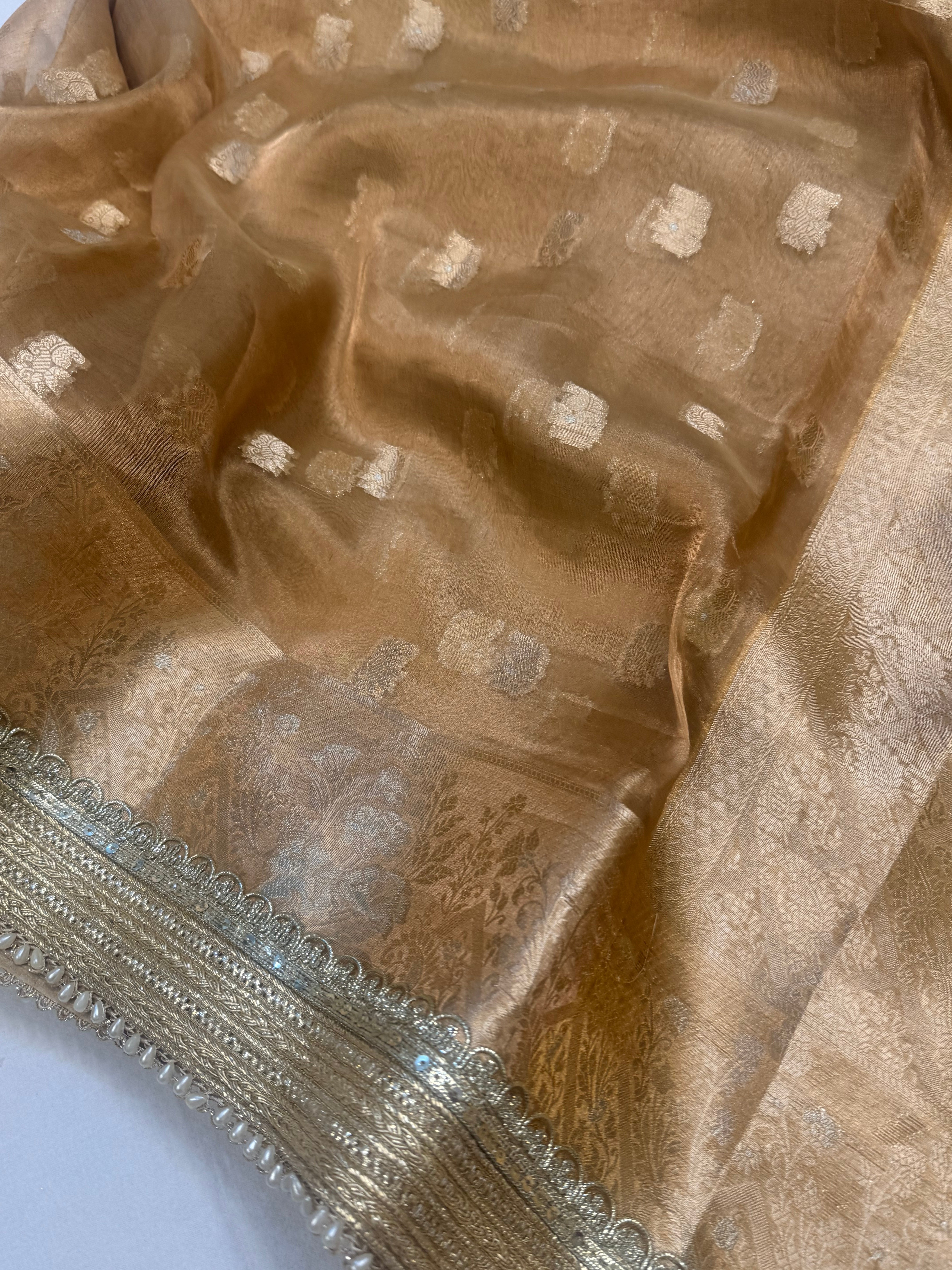 Champagne gold tissue silk kadhwa buti gotapatti saree